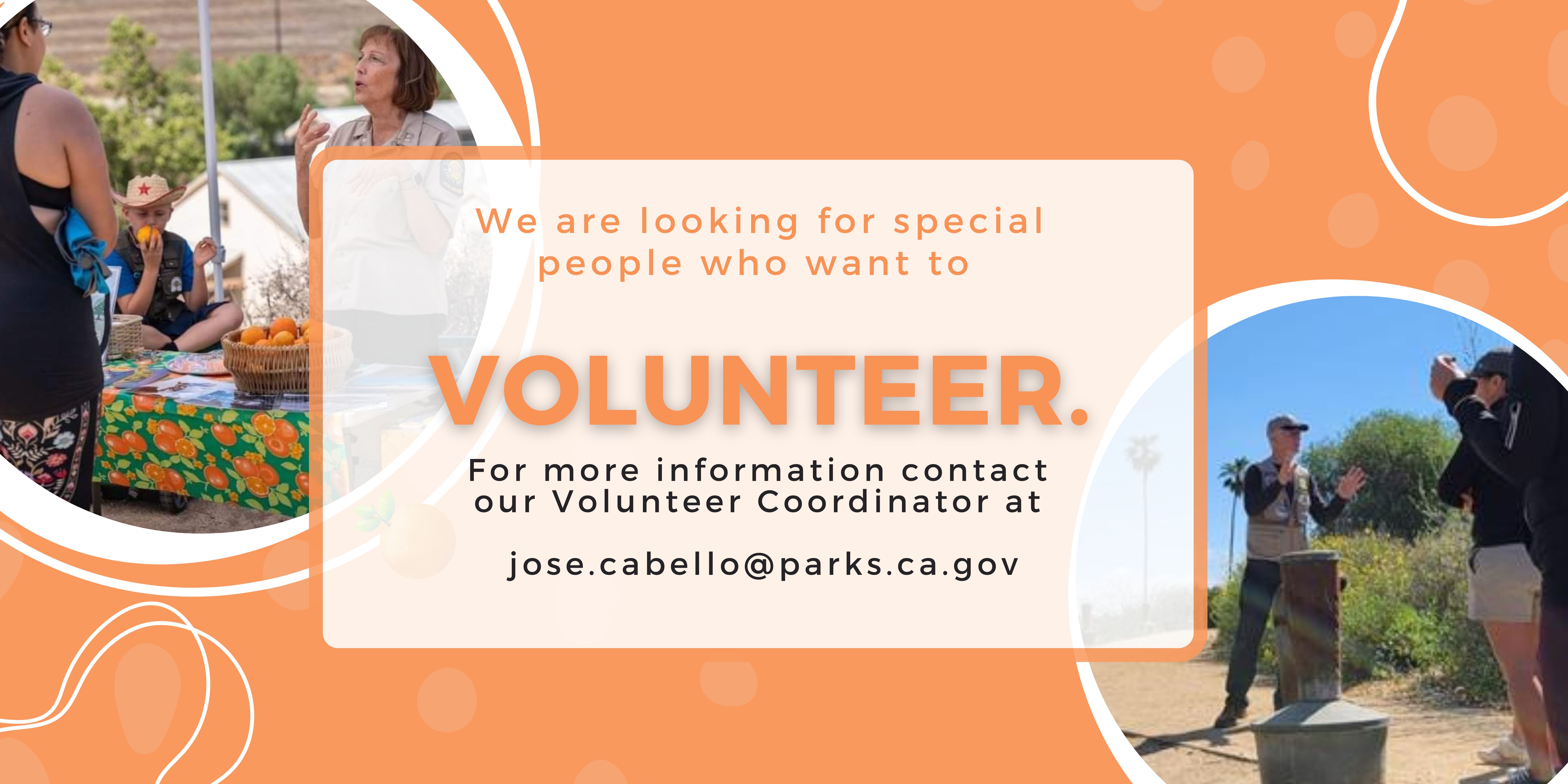 Volunteer 